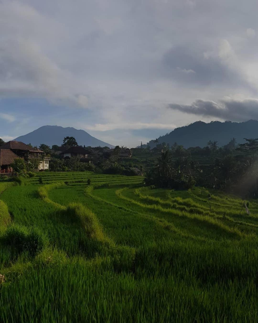 D'Janu Homestay 시데멘 외부 사진